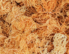 Load image into Gallery viewer, Raw Sea Moss